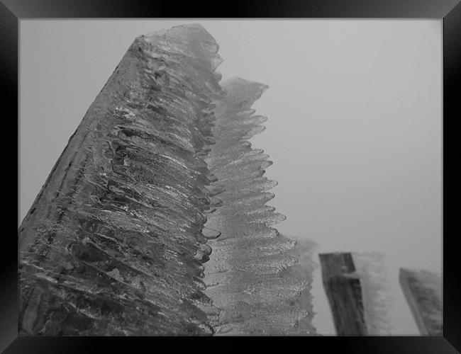 Icicle Fence Black and White Framed Print by James Lamont
