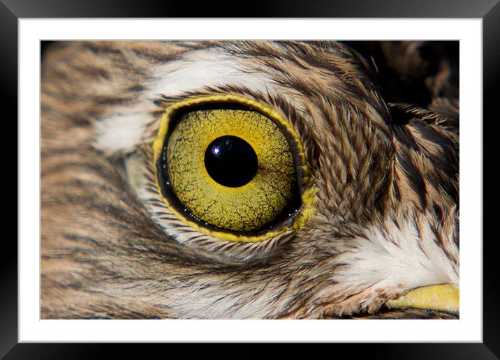 Birds Eye Framed Mounted Print by Peter West