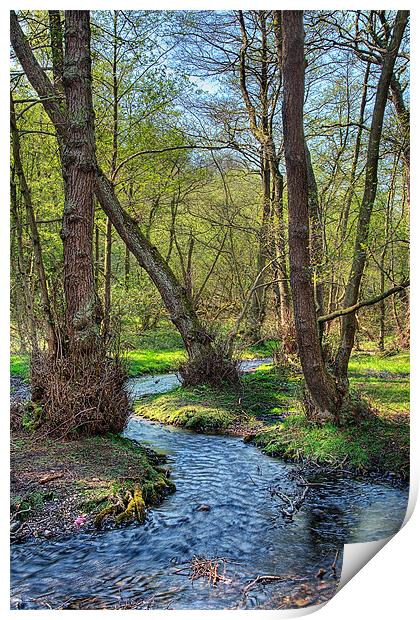 The Stream Print by Ann Garrett