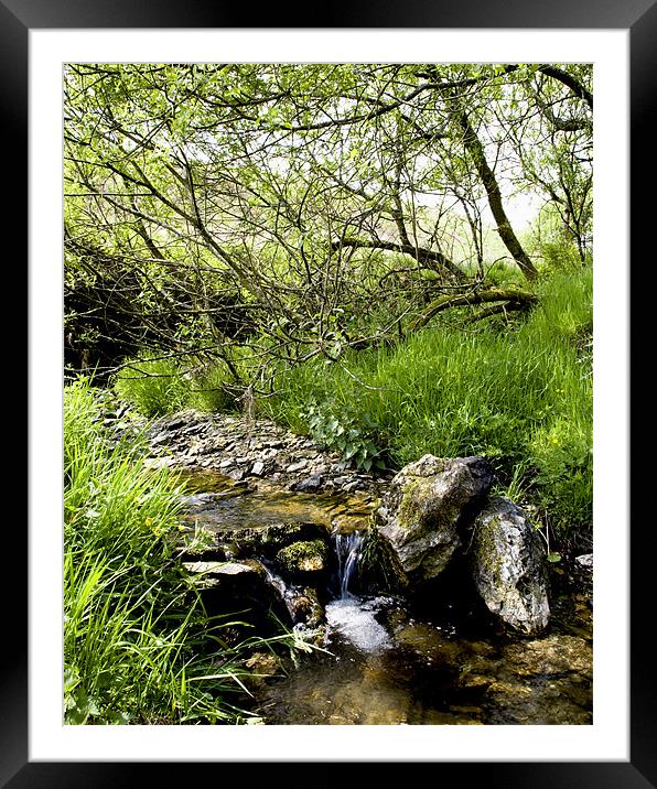Exmoor Stream Framed Mounted Print by Mike Gorton