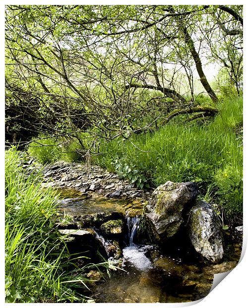 Exmoor Stream Print by Mike Gorton