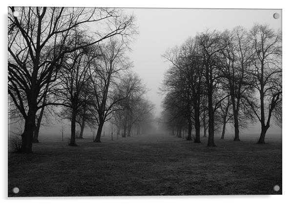 Foggy Walk Acrylic by Dave Windsor
