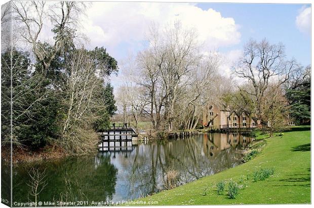 Canford Magna Canvas Print by Mike Streeter