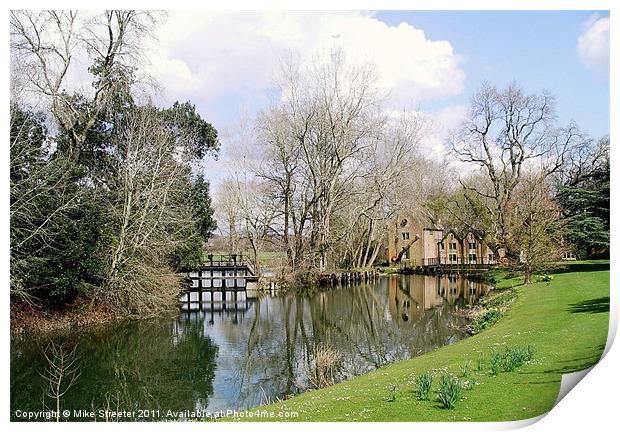 Canford Magna Print by Mike Streeter