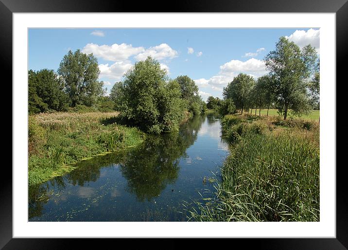 Waterway Framed Mounted Print by Matt Curties