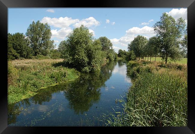 Waterway Framed Print by Matt Curties