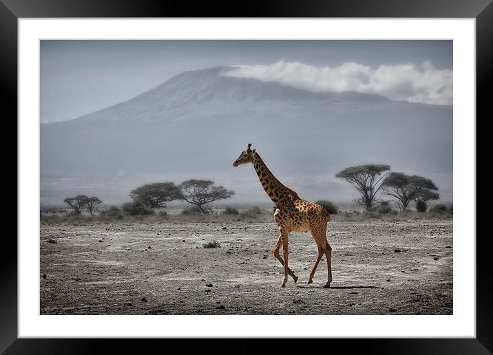  Giraffe and Volcano Framed Mounted Print by Broadland Photography