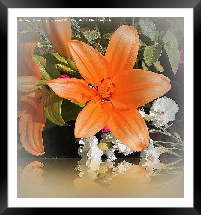 ORANGE LILY REFLECTION  Framed Mounted Print by Anthony Kellaway