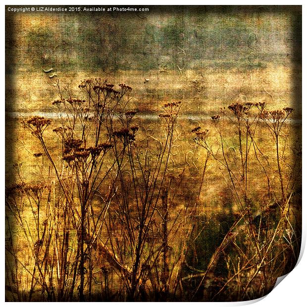 River View (square format)  Print by LIZ Alderdice