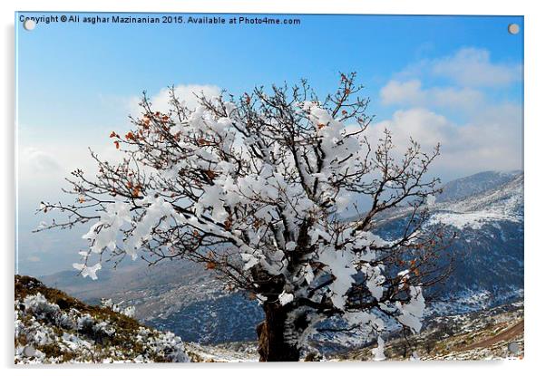  The glory of iced tree in winter, Acrylic by Ali asghar Mazinanian