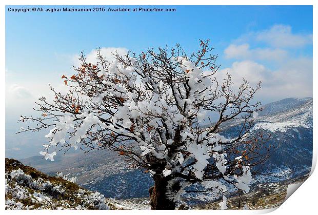  The glory of iced tree in winter, Print by Ali asghar Mazinanian