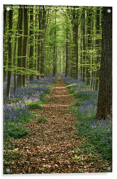 bluebell forest path Acrylic by Jo Beerens