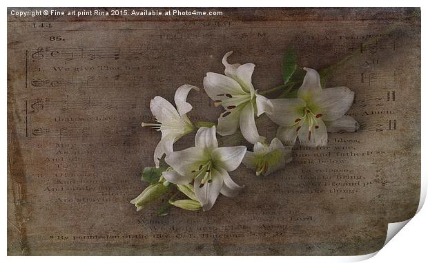  Lily Print by Fine art by Rina