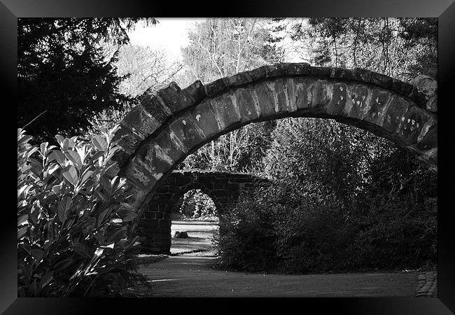  Arches in Grosvenor Park, Chester Framed Print by Andy Heap