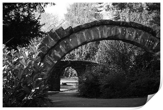  Arches in Grosvenor Park, Chester Print by Andy Heap