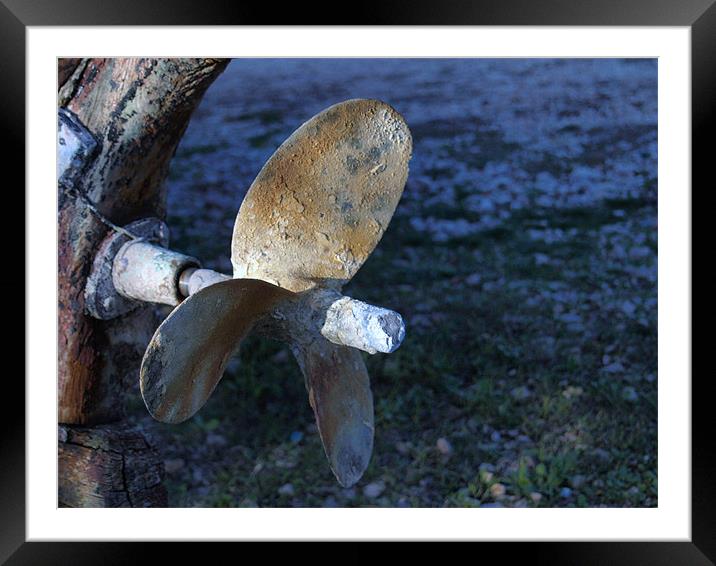 od boat Framed Mounted Print by Leonardo Lokas