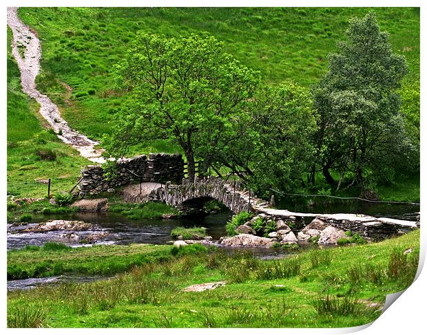 Bridge in the Lake District Print by Mike Gorton
