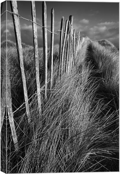 Picket path Canvas Print by Stephen Mole