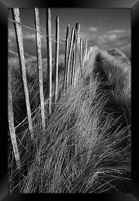 Picket path Framed Print by Stephen Mole