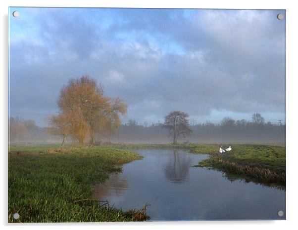 Swans in the early morning mist by the River Wensu Acrylic by john hartley