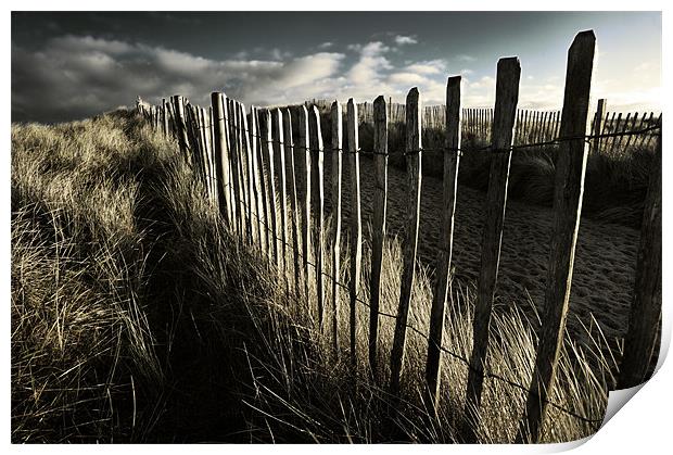 Picket  Fence Print by Stephen Mole