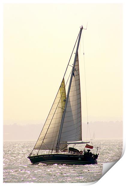 Solent Yacht Print by Peter West