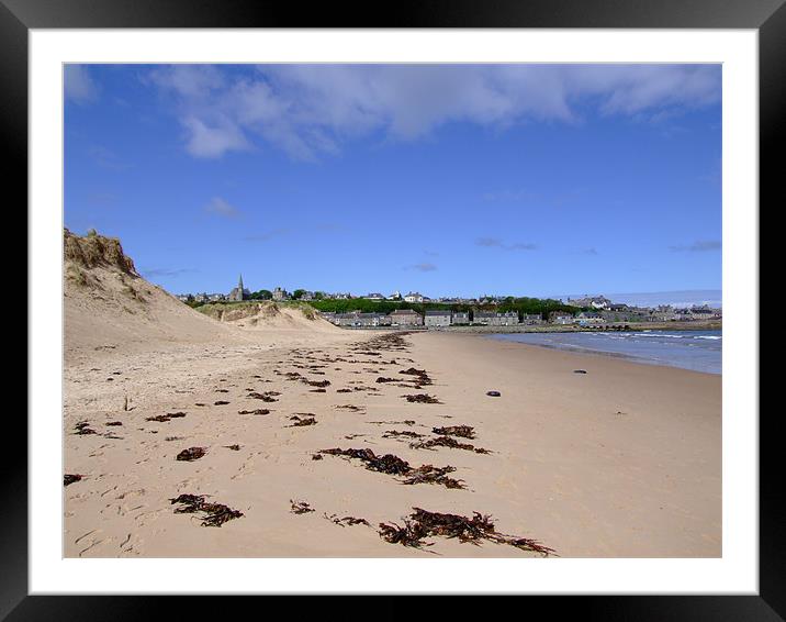 East Beach, Lossiemouth Framed Mounted Print by Dave Wyllie