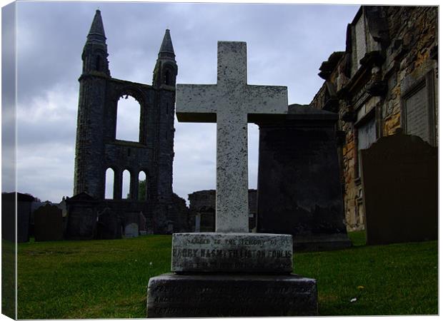 St Andrews Cathederal Canvas Print by Dave Wyllie