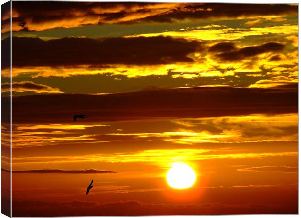 Birds in the sunrise Canvas Print by Dave Wyllie