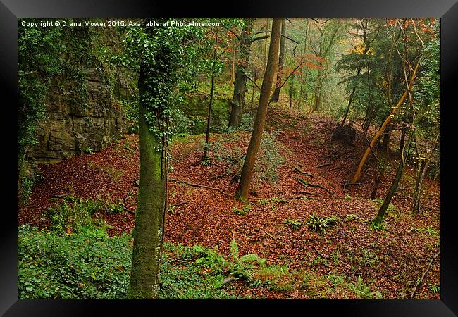  Forest of Dean Framed Print by Diana Mower