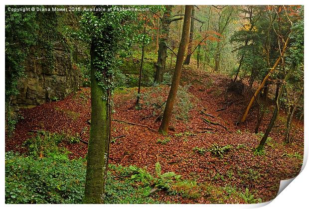  Forest of Dean Print by Diana Mower