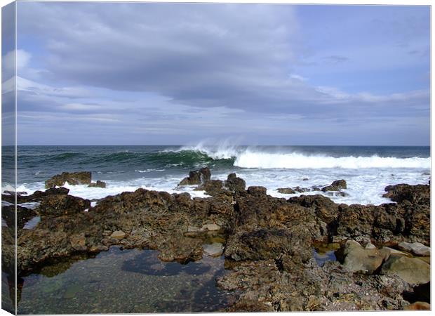 Wave breaking in Lossiemouth Canvas Print by Dave Wyllie