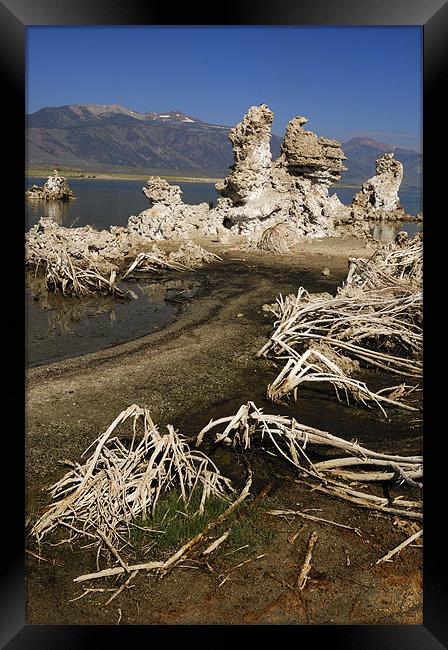 USA. California. Mono Lake. Lee Vining. Sierra Nev Framed Print by Josep M Peñalver