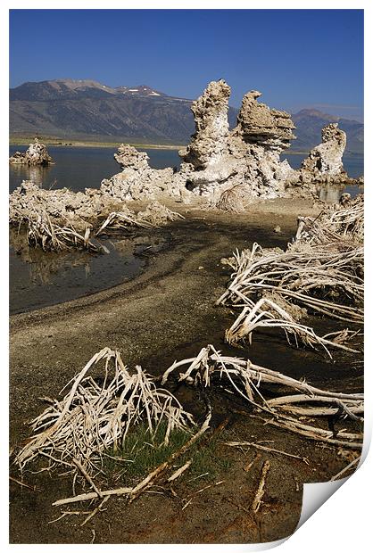 USA. California. Mono Lake. Lee Vining. Sierra Nev Print by Josep M Peñalver