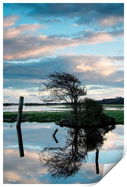  Flood in the Cuckemere Valley Print by Artem Liss