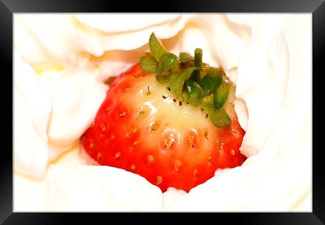  Strawberry and Cream. by JCstudios Framed Print by JC studios LRPS ARPS