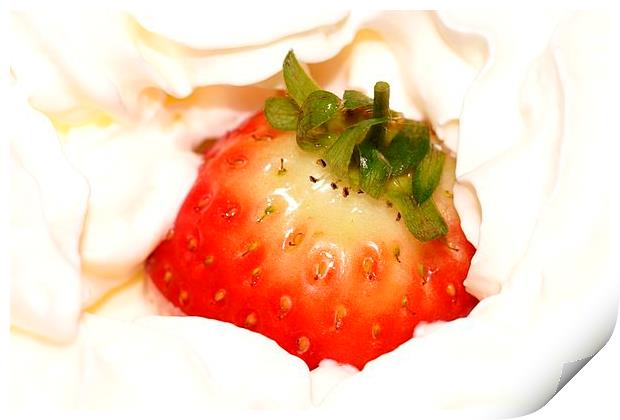  Strawberry and Cream. by JCstudios Print by JC studios LRPS ARPS