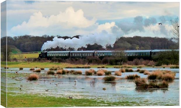  Kent and East Sussex Railway Canvas Print by Kim Slater