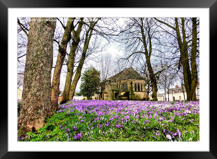  Spring time at St Chads. Framed Mounted Print by Lilian Marshall