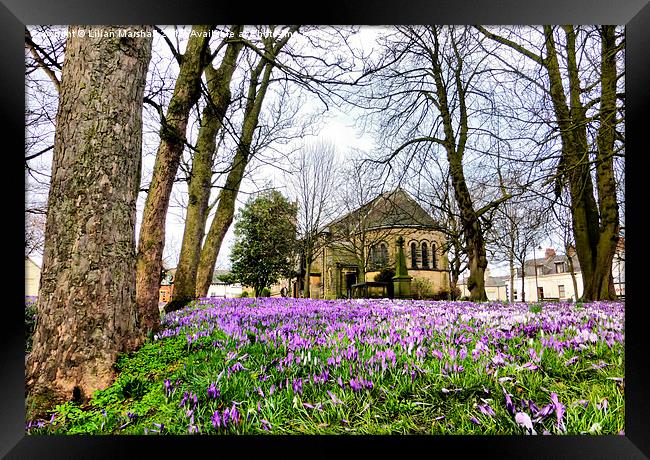  Spring time at St Chads. Framed Print by Lilian Marshall