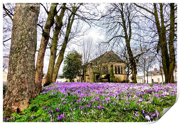  Spring time at St Chads. Print by Lilian Marshall