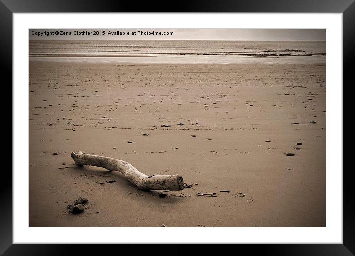  Driftwood on the Beach Framed Mounted Print by Zena Clothier