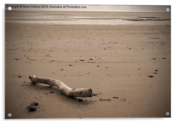 Driftwood on the Beach Acrylic by Zena Clothier