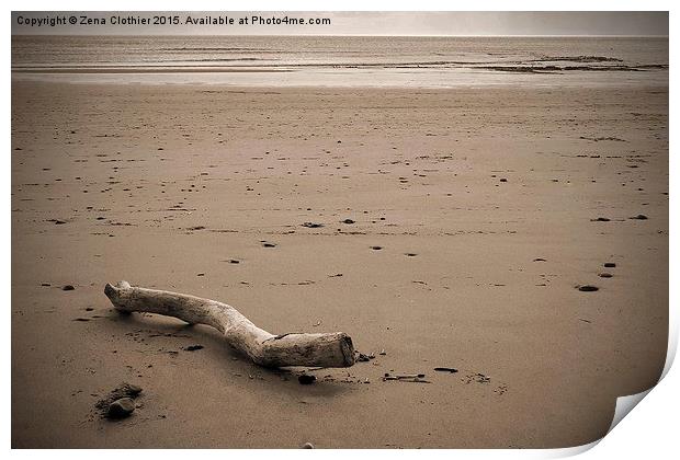  Driftwood on the Beach Print by Zena Clothier