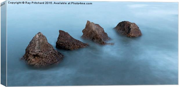 Waves and Rocks Canvas Print by Ray Pritchard