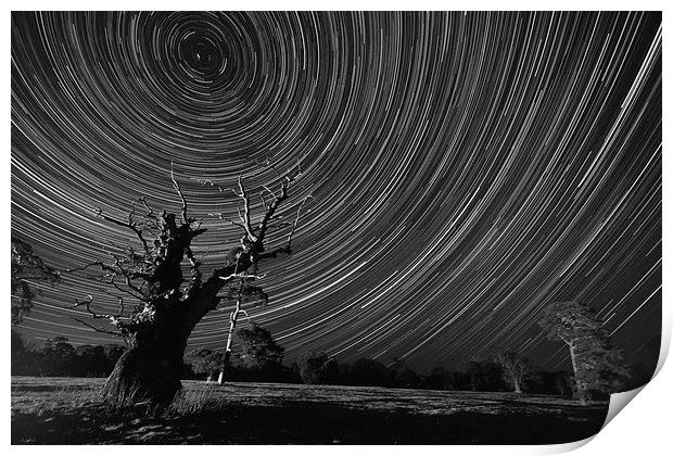 Northern Star Trails  Print by Darren  Wynne