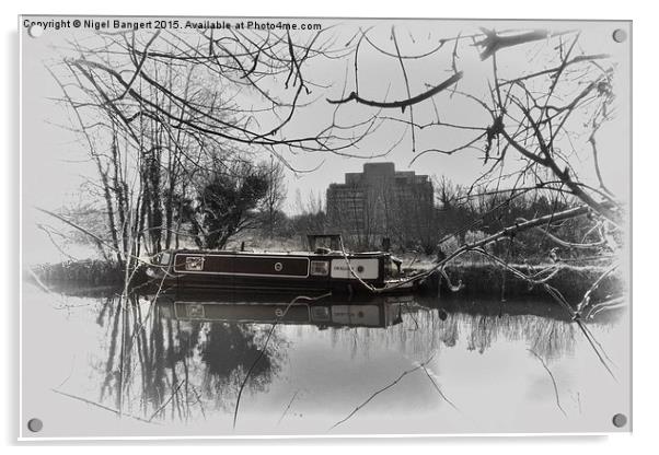  River Stort, Harlow Acrylic by Nigel Bangert