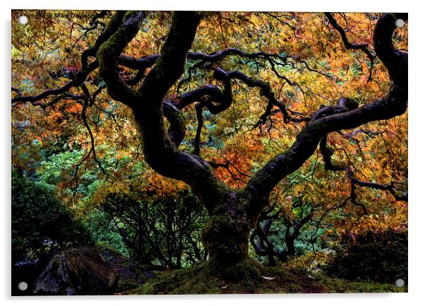 Autumn's Canopy Acrylic by Mike Dawson
