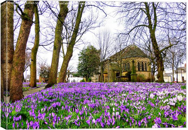  Springtime at St Chads. Canvas Print by Lilian Marshall