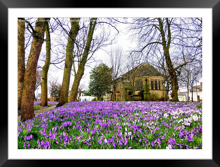  Springtime at St Chads. Framed Mounted Print by Lilian Marshall